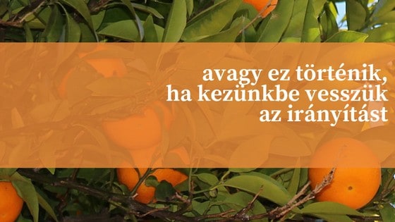 Fitlife cukormentes cukrászda - A cukor elhagyásával ezek a betegségek megelőzhetőek